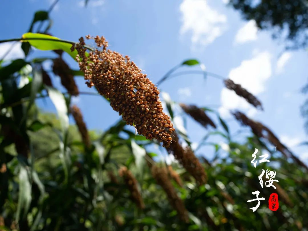 圖片2.png 圖片2.png